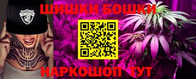 spice Кингисепп