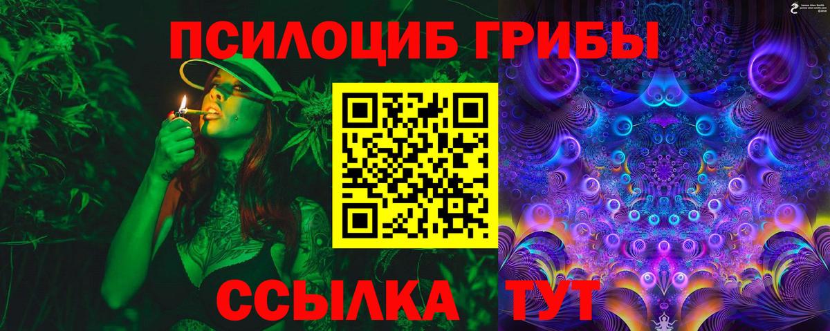 Галлюциногенные грибы Psilocybe Фурманов